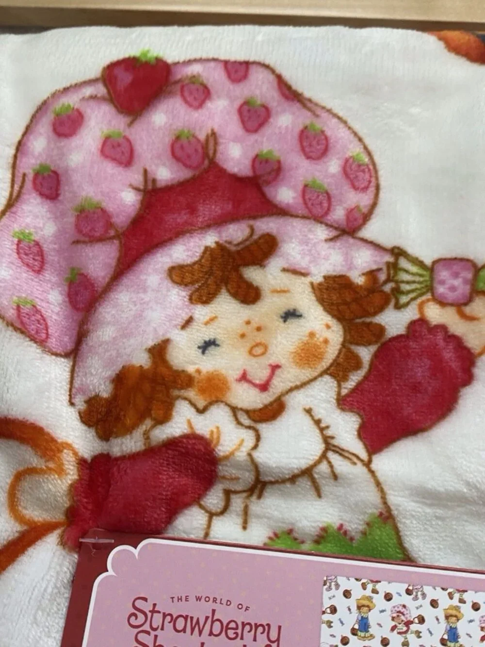 Strawberry Shortcake Huckleberry Pie Raspberry Tart Halloween Throw‎ Blanket NEW